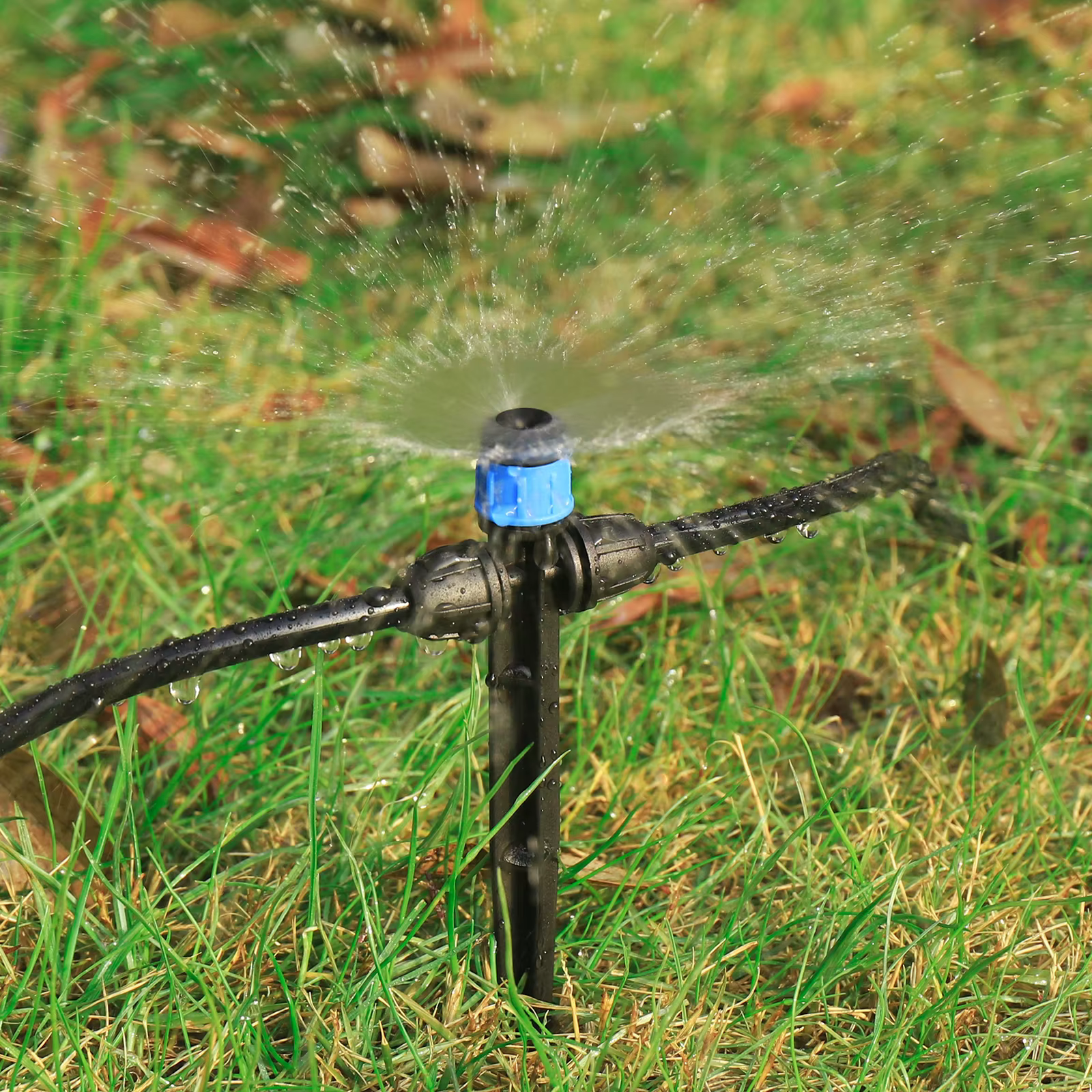 Arroseur goutte-à-goutte à pointes, 10/30 pièces, émetteur de goutte à 8 trous, arroseur à dispersio