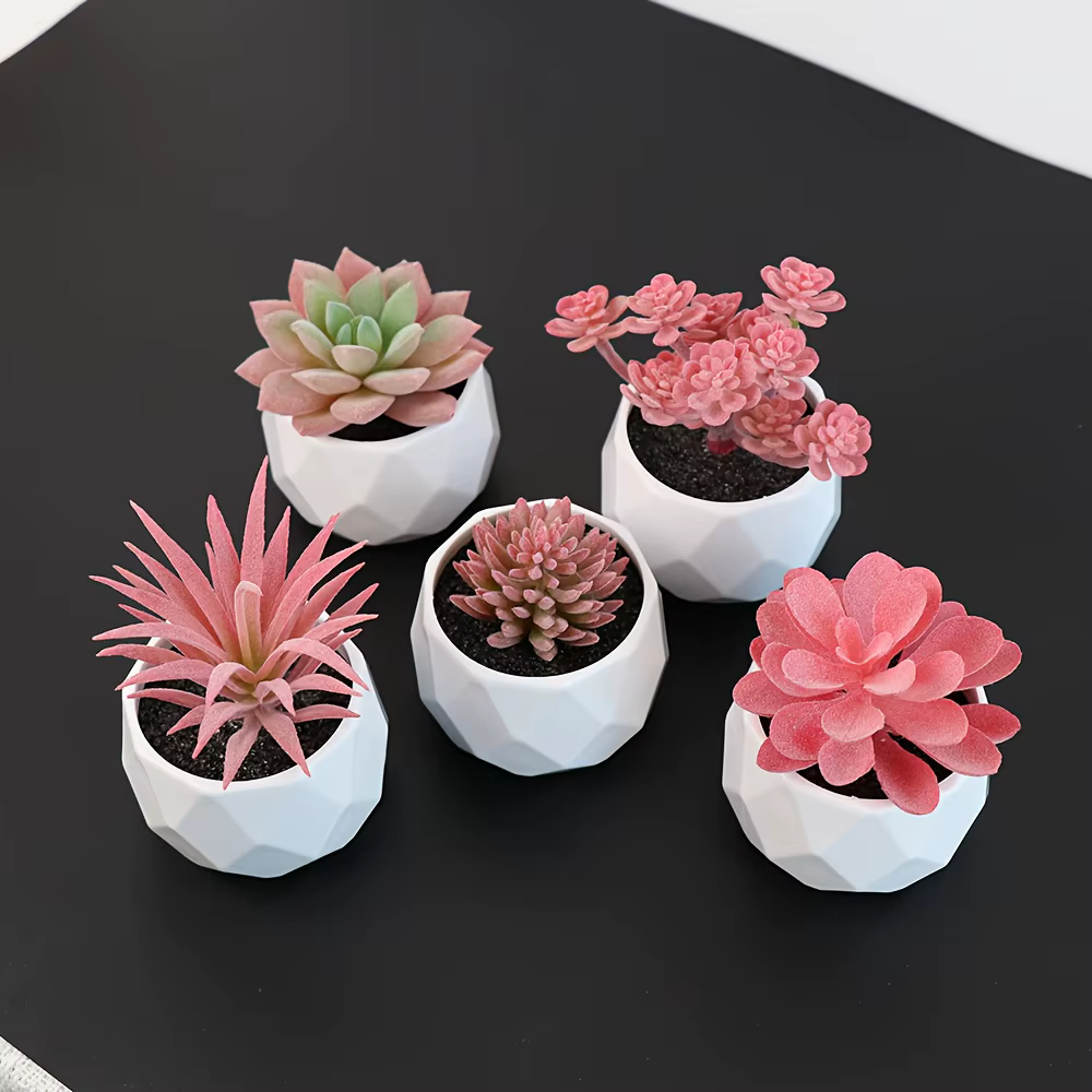 5 mini-plantes succulentes artificielles réalistes avec pot, fausses plantes de cactus adaptées au b
