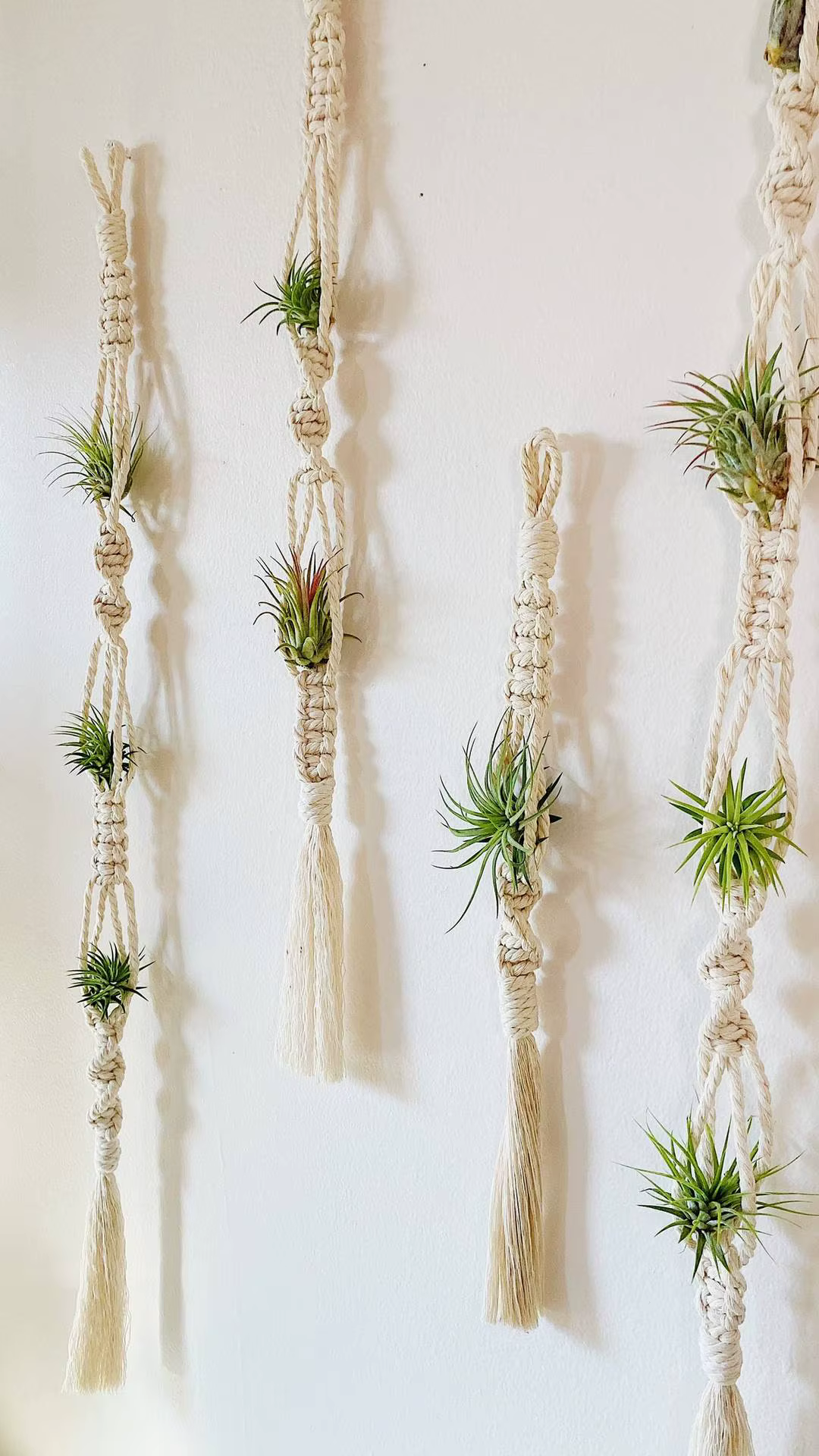 Cintre pour plantes à Air en macramé, support suspendu pour plantes aériennes, affichage d'ananas, j