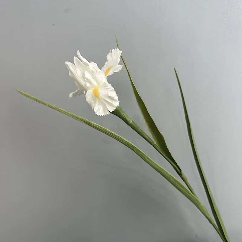 Fleurs d'iris artificielles en soie, plantes d'alice, décoration florale pour la maison, Simulation 