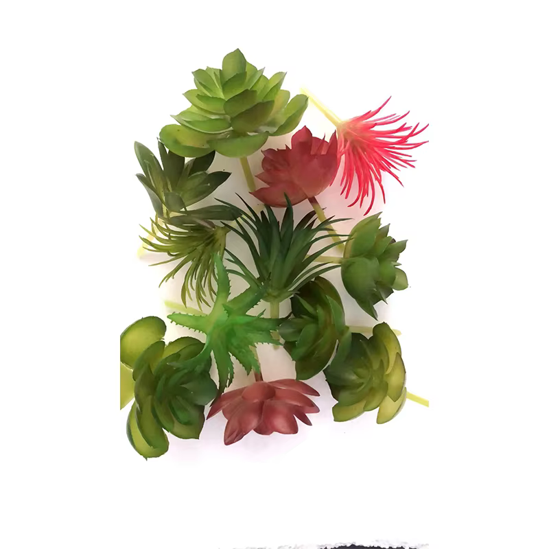 12 pièces plantes succulentes en PVC vert fausse plante succulente pour la maison jardin petit bonsa