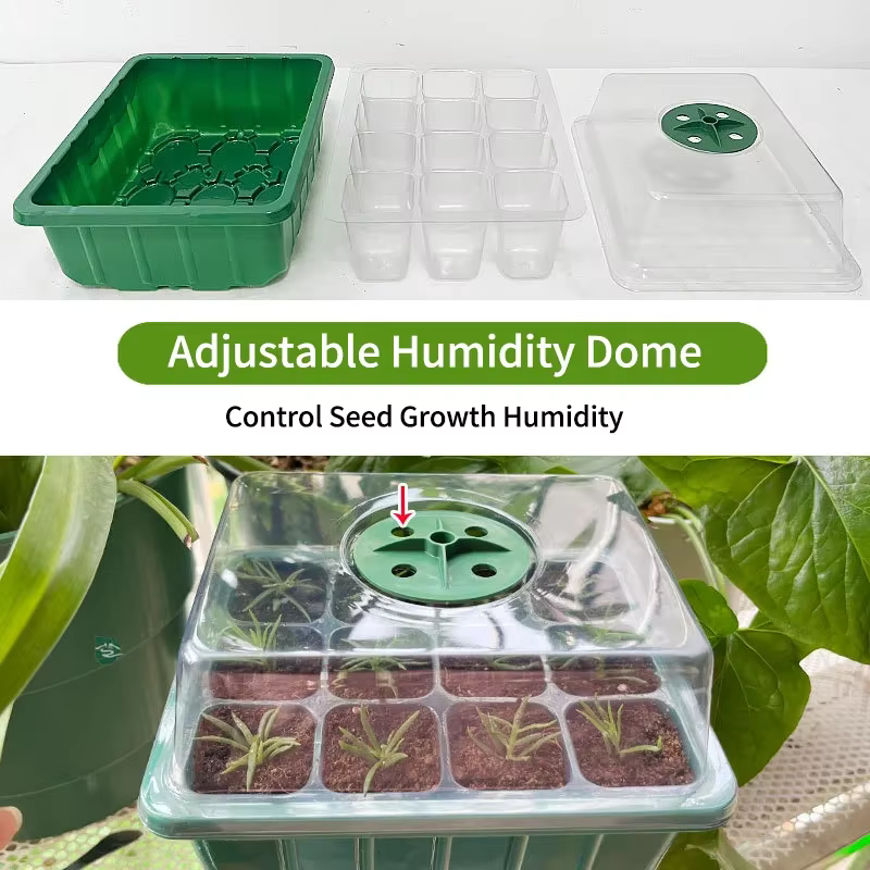 Plateau de démarrage de graines avec lumière pour plantes, kits de plateaux de démarrage surélevés p