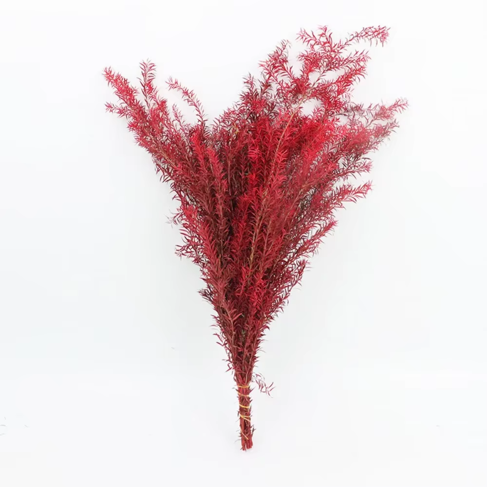 Bouquets de Fleurs vaccées Naturelles pour Décoration de Maison, Mariage, Festival de Gand, Matériel