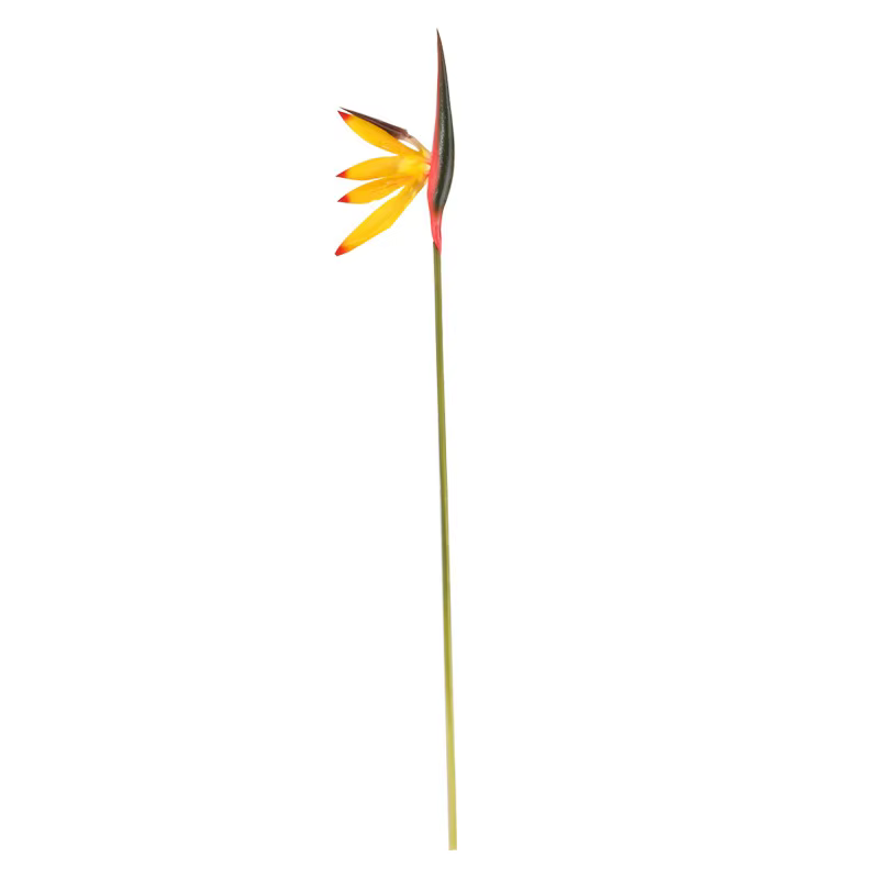 Fleur artificielle petit oiseau du paradis 80CM, décoration de maison, salle d'échantillon, mobilier