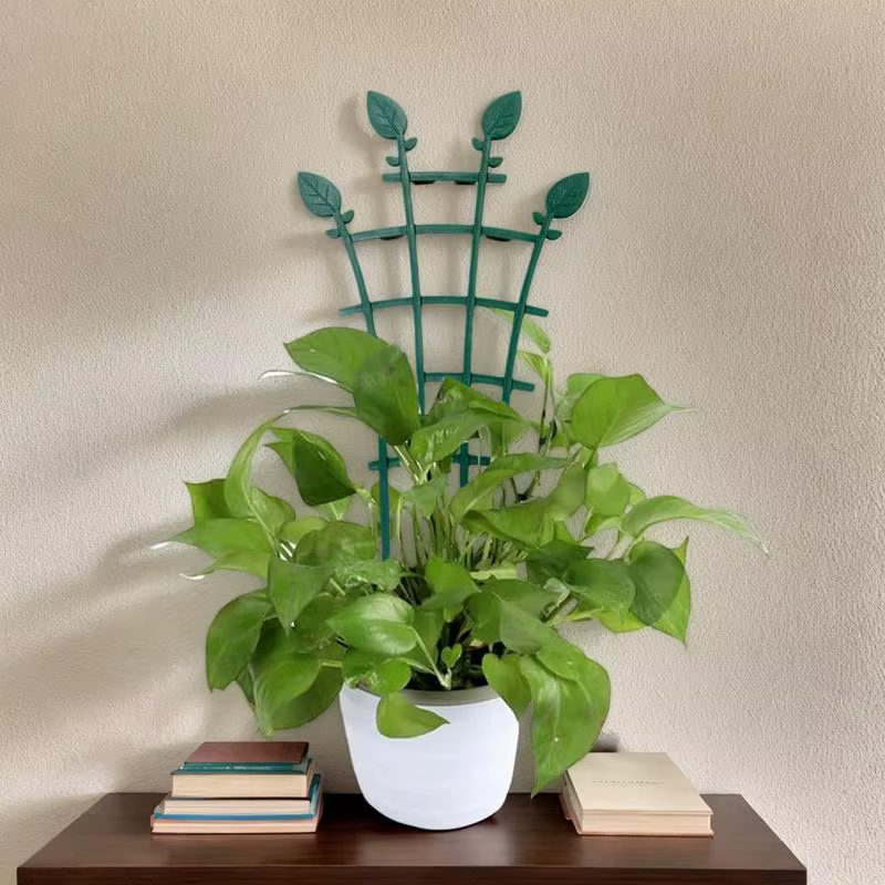 Treillis de plantes pour Pots 4X, petit Support de vigne d'intérieur, Supports de fleurs en pot supe