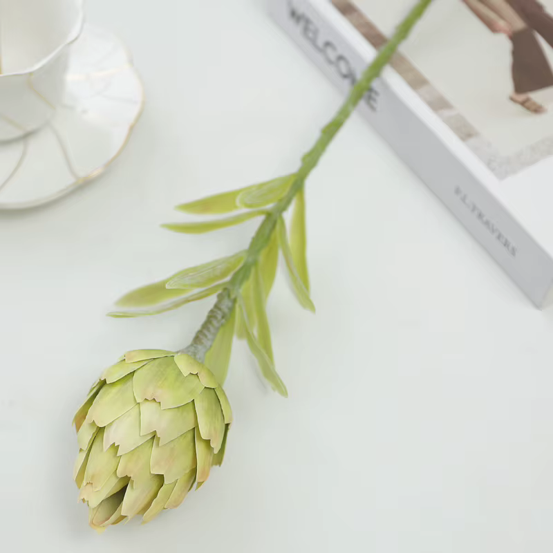 Plante artificielle de fruits artificiels, 56CM, pour intérieur de la maison, salon, entrée, Arrange