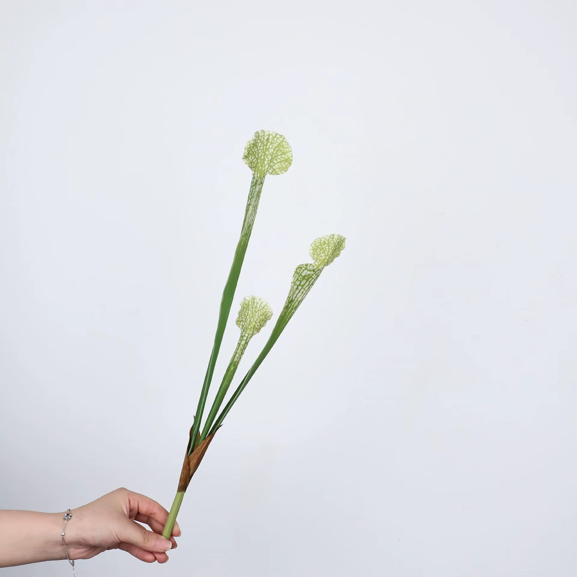 Brosse à bouteille artificielle de 17 pouces, fausse plante verte, feuilles de haute qualité pour la