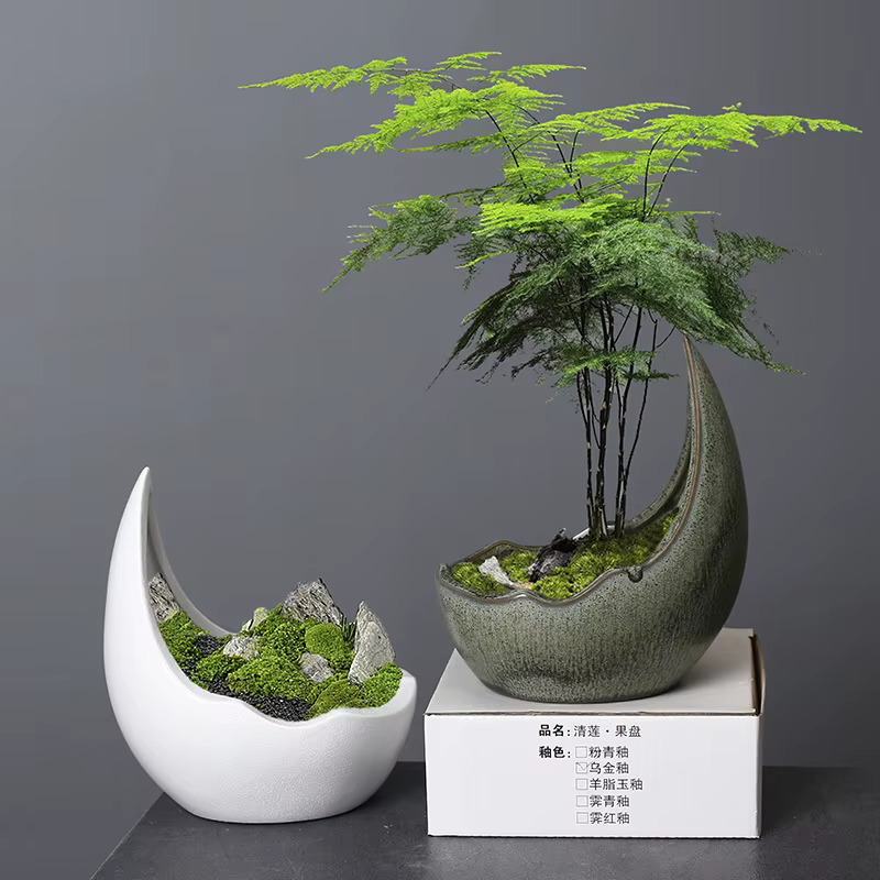 Pot de fleur en céramique en forme de corne de rhinocéros, pot de plante verte, jardinière succulent