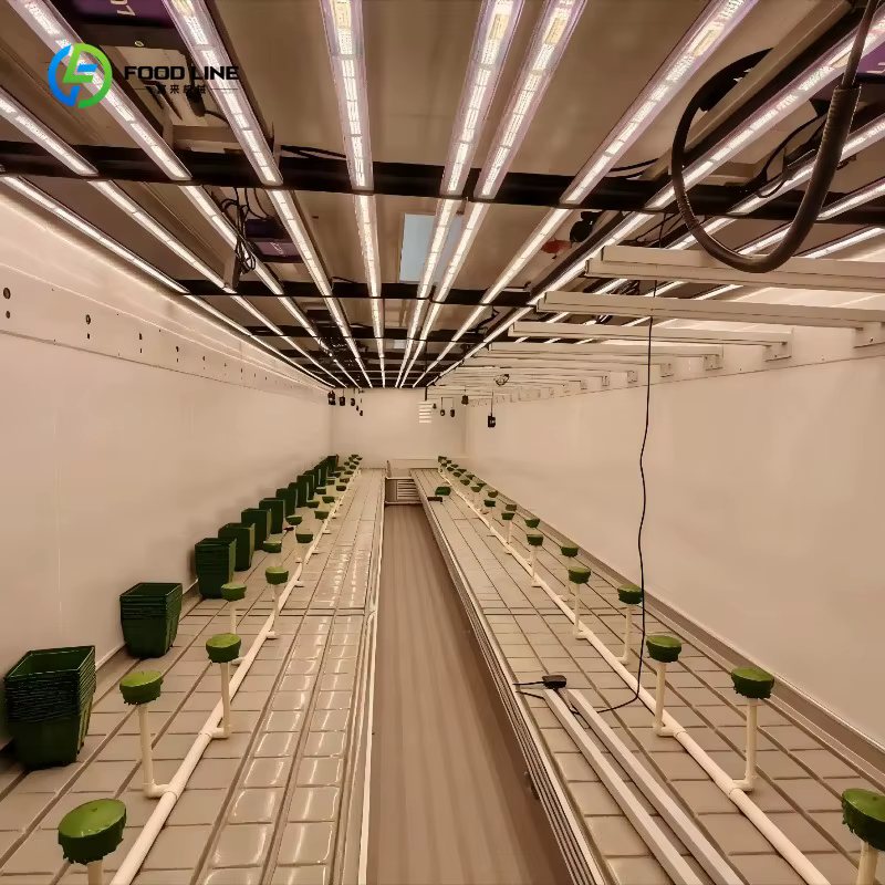 Serre conteneurisée entièrement automatisée pour la culture de micro-légumes en Thaïlande, fabriquée