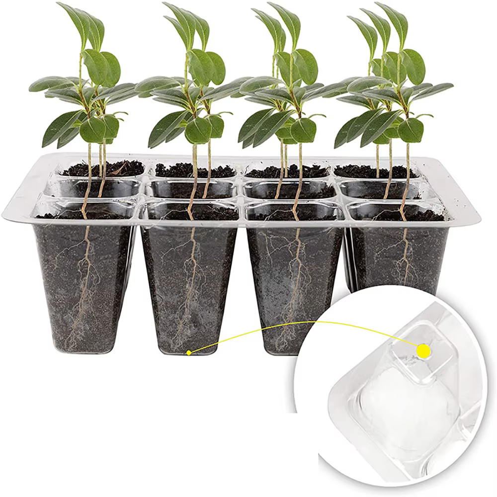 Pots de plantes en plastique avec trou de 6/12 cellules, boîte de culture, pots de semis de plantes,