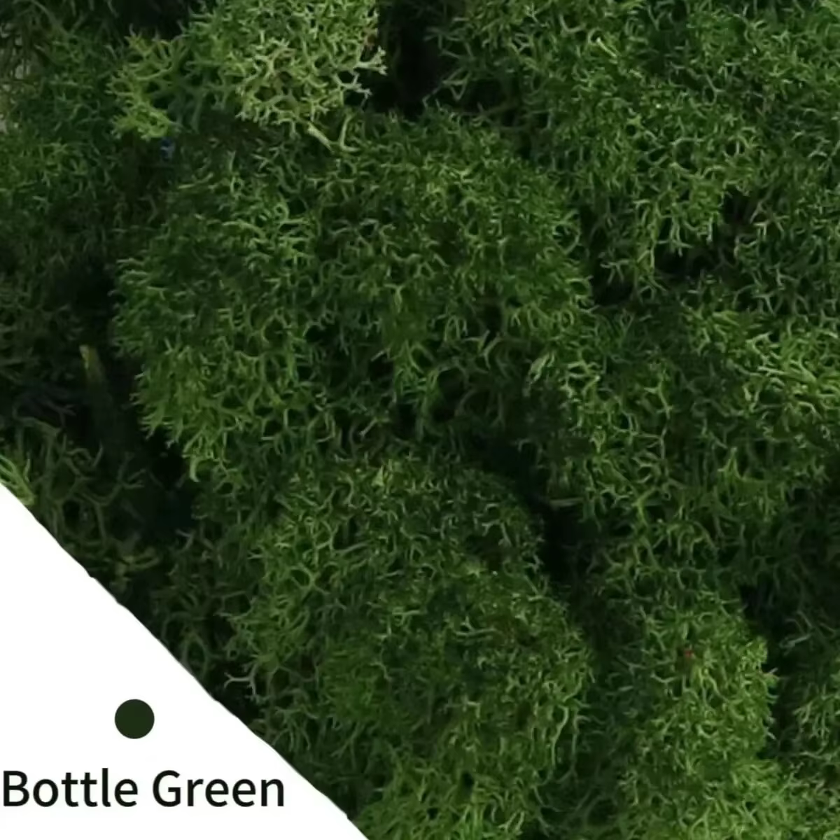Plantes vertes artificielles Mini paysage vie éternelle mousse herbe fausse herbe bricolage artisana