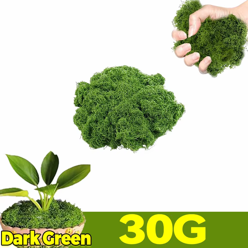 300/30g vie éternelle mousse herbe artificielle vert mousse Mini paysage fausse herbe bricolage arti