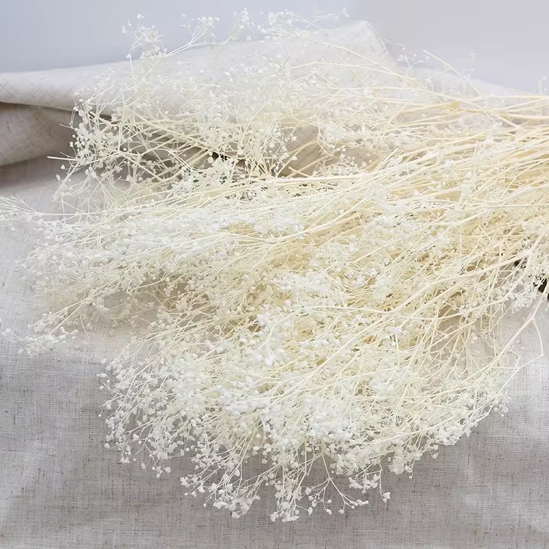 Bouquet de fleurs séchées naturelles, millions de couronnes de bébé, décoration de mariage, Eternell