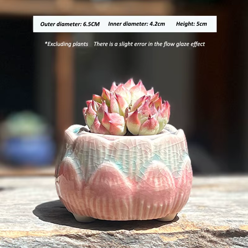 Pot à fleurs en céramique pour plantes succulentes, mini pot en forme de lotus dégradé, style nordiq