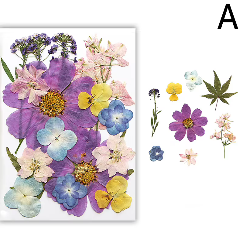 Fleurs séchées véritable plante naturelle pressée fleur pour résine époxy remplissage bricolage Nail