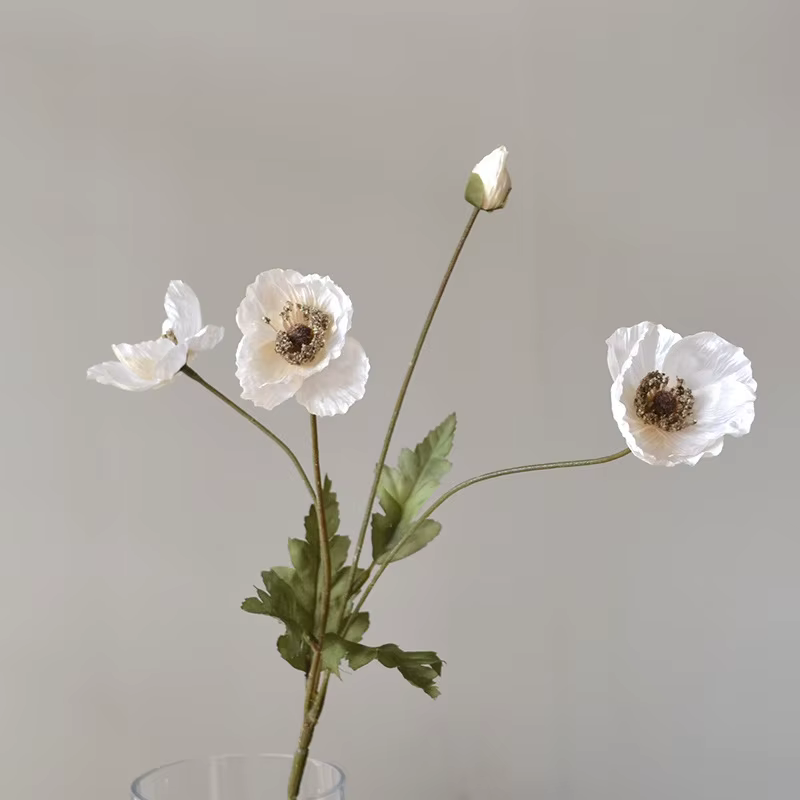 59M américain automne Vintage coquelicot fleur Tour Clap mains tenir fleurs photographie maison mari