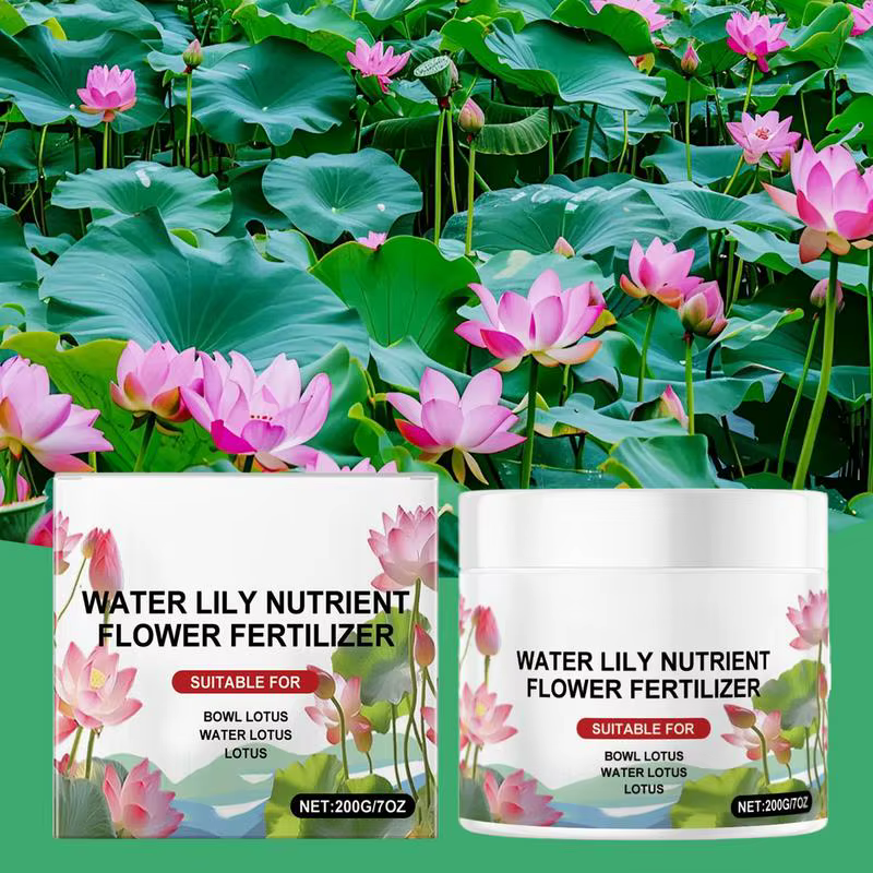 Bol de pollen de lotus favorise la croissance de la santé des plantes, étang, nénuphar, nutriments, 