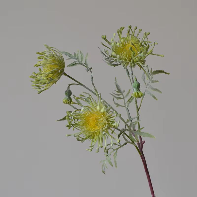 Fleurs Artificielles en Plastique Floquées, 3 Têtes, Griffe de Crabe, Chrysanthème pour ixde Mariage
