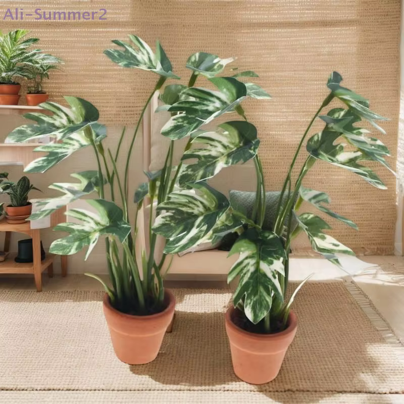 Plante Monstera Miniature délicate pour maison de poupée 1/12, en pot pour micro-paysage de jardin