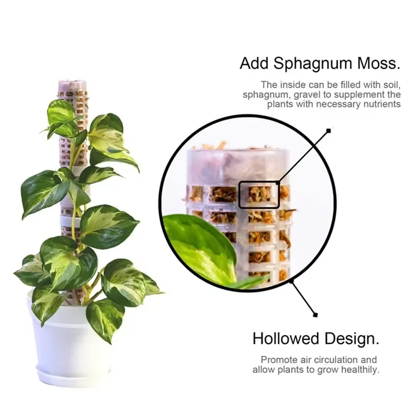 Bâton de support en treillis pour plantes, poteau de mousse en plastique, support pour Pot de plante
