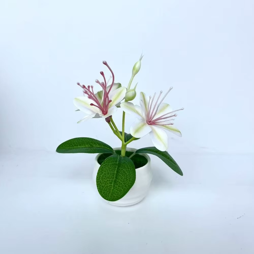 3 fleurs artificielles de jasmin en pot avec pot blanc, petites plantes artificielles en plastique,