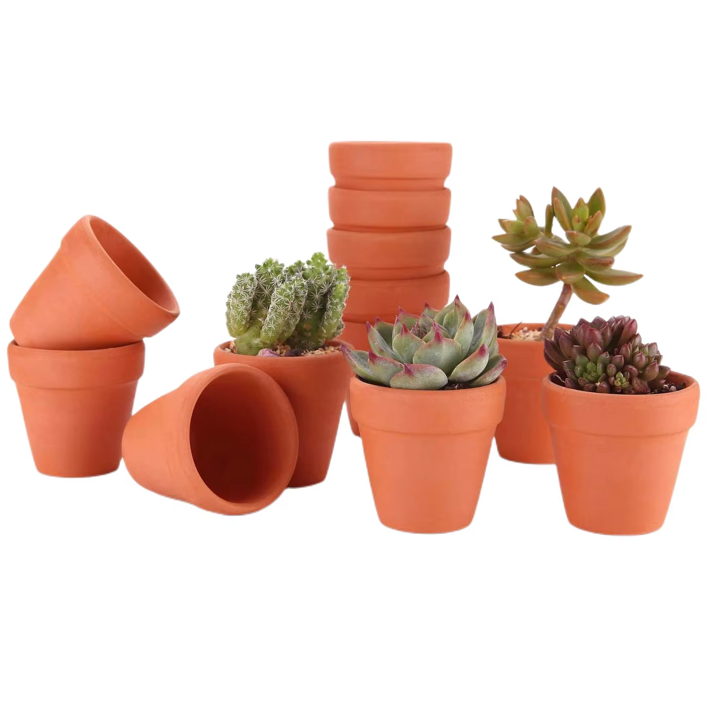 Pots Terra Cotta de 1.8 pouces, 16 pièces, jardinière en poterie, Pots de fleurs Cactus, Pot Succule