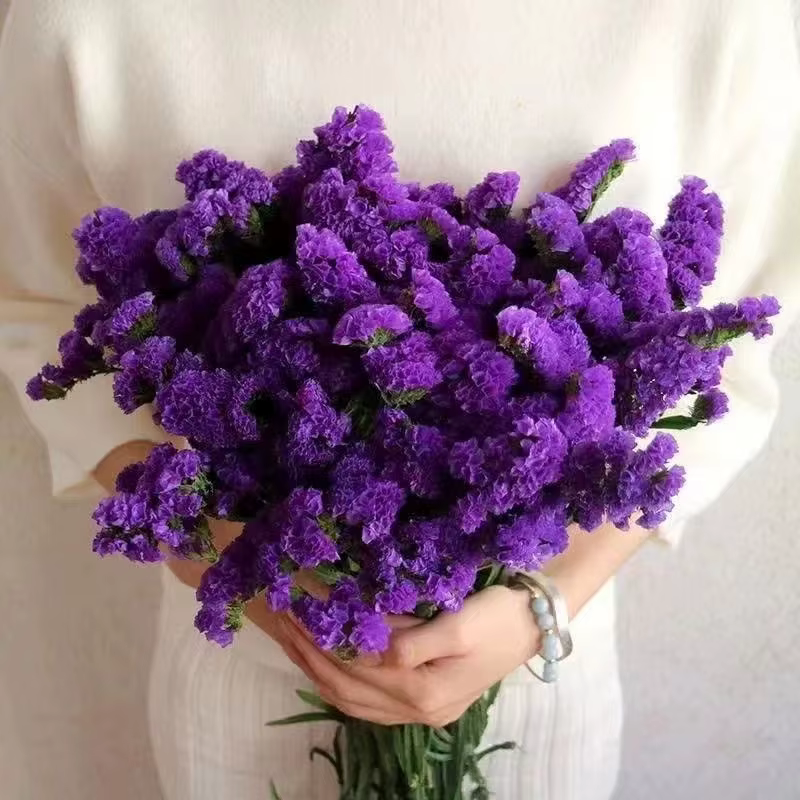 Bouquet de fleurs naturelles, 100g, véritable, oubliez-moi, pas, cadeaux de Couple romantique, fleur