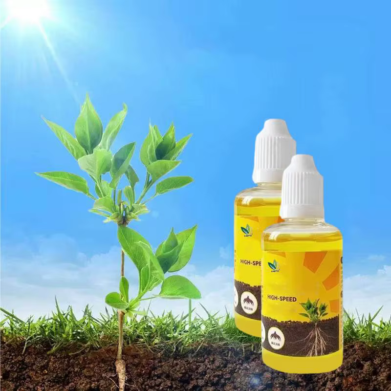 Solution nutritionnelle pour plantes, semis de fleurs de jardinage, repiquage, nutrition succulente,