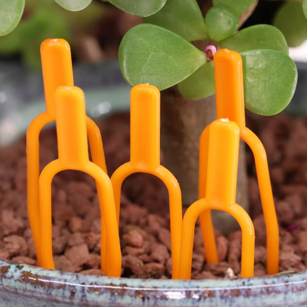 Fixateur de tige de plante 100 pièces, fourchette de plantation de fraises de jardin, fixation de pa