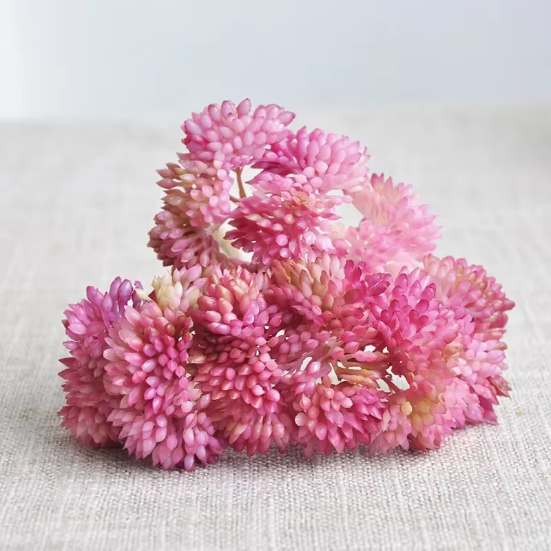 Diamant 10CM artificiel succulent Grain de riz plantes vertes Micro paysage plante Arrangement photo
