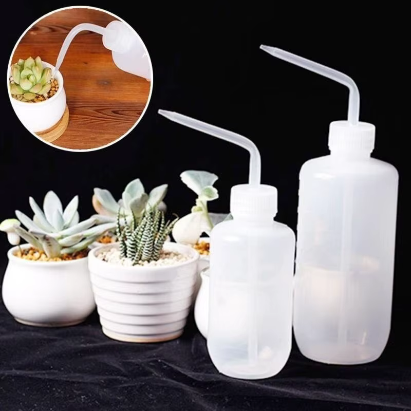 Arrosoir bonsaï pour plantes succulentes, 250/ 500ml, outil de jardinage à bec long