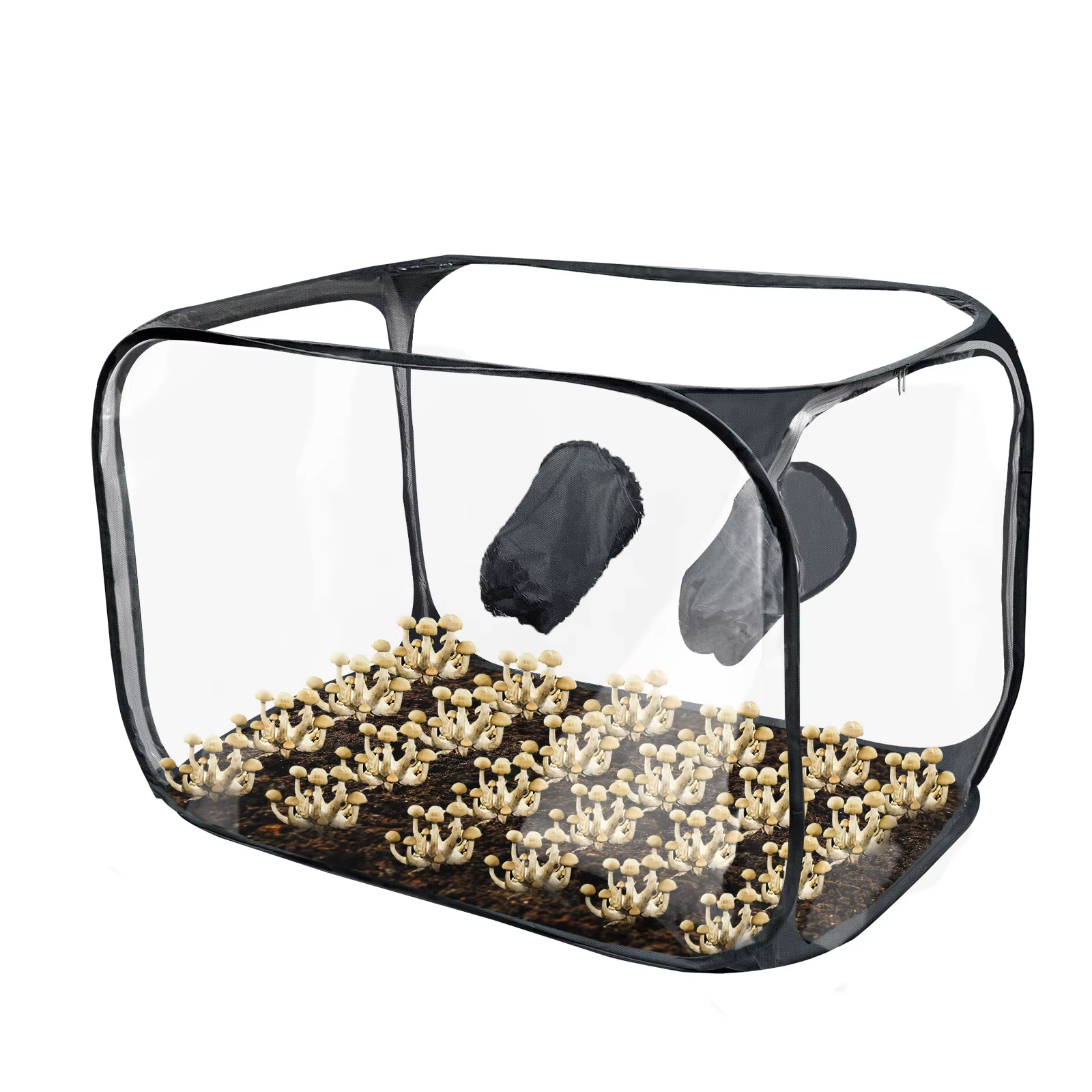 Boîte de culture de champignons - Avec ouverture zippée, poignées pour une manipulation facile, desi