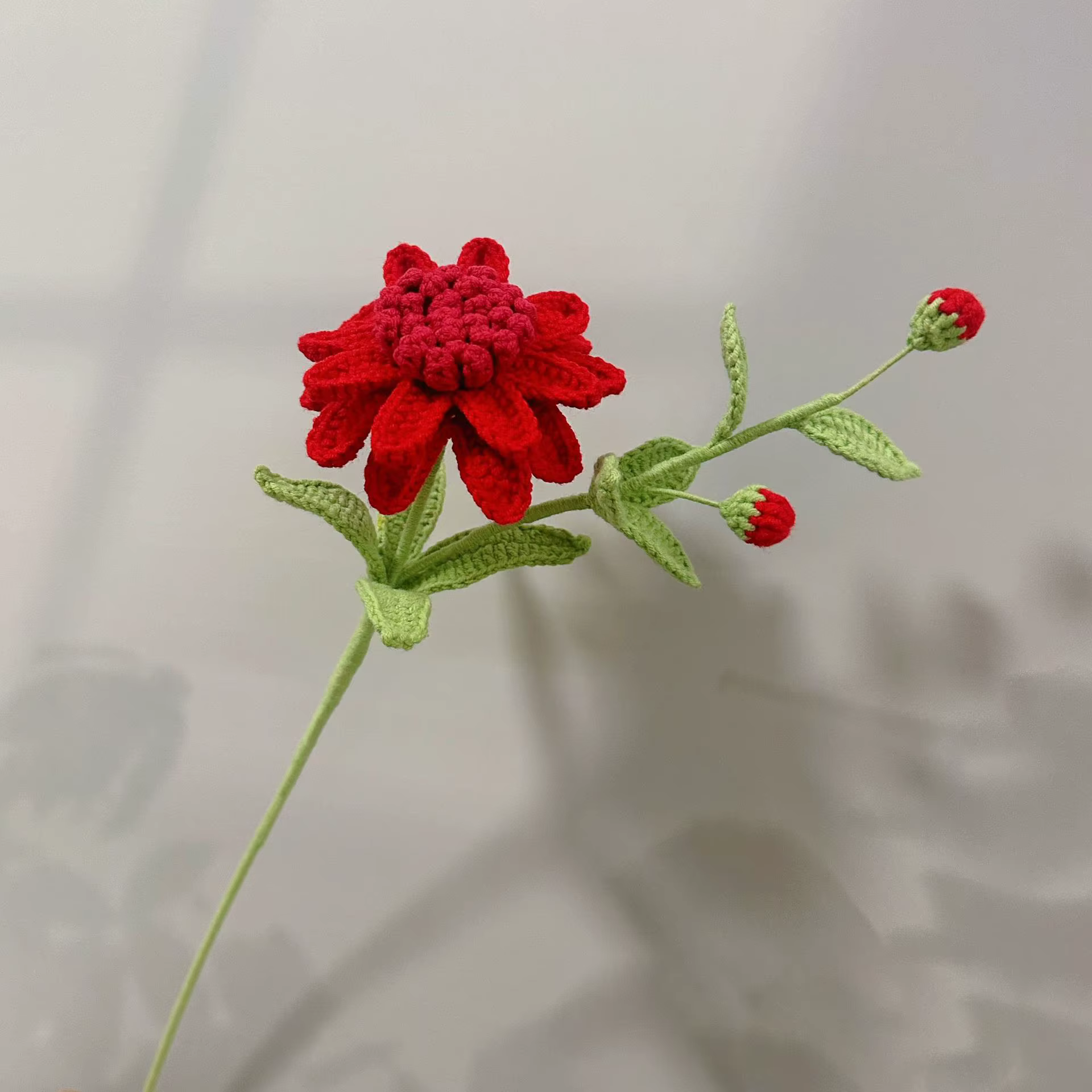Bouquet de marguerites africaines au crochet fini, fait main, créatif, plantes artificielles, décora
