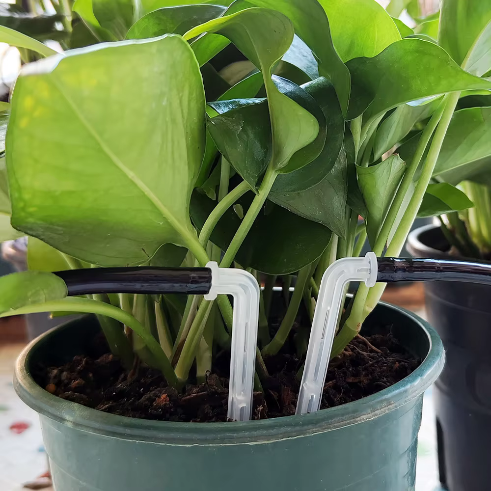 OASIS-Micro Irrigation de Jardin, Flèche de Courbure Transparente, Goutteur de Tuyau, Émetteur de Go