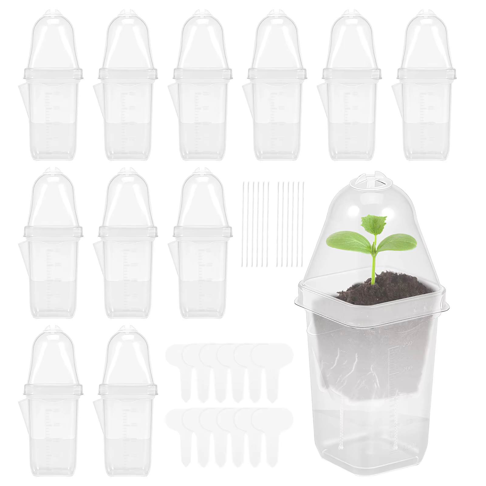 12 Pots de Fleurs Auto-Arrosants en Plastique Transparent pour Plantes Hydroponiques, Jardinières Au