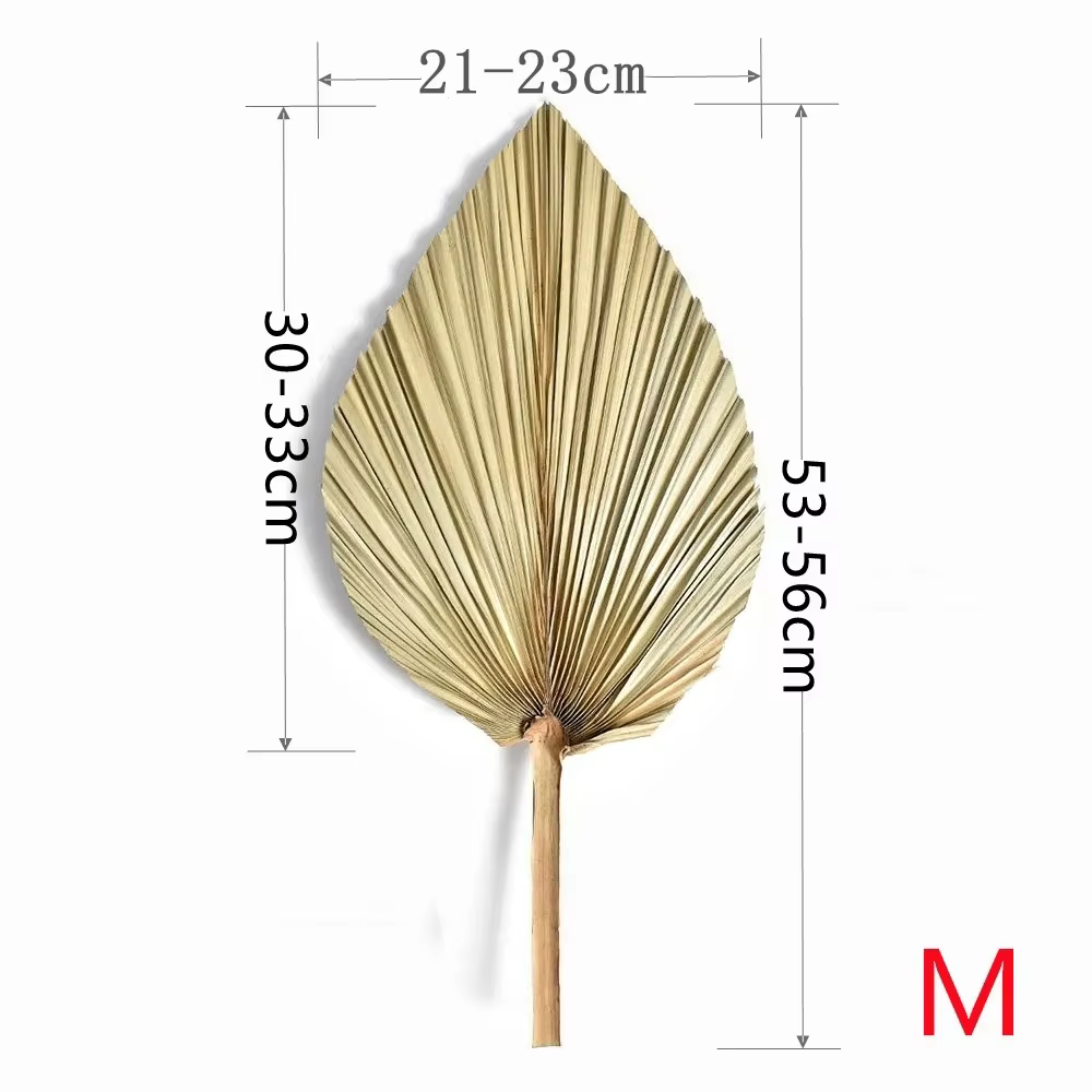 3 feuilles de palmier séchées naturelles, décoration bohème pour la maison, grandes feuilles de palm