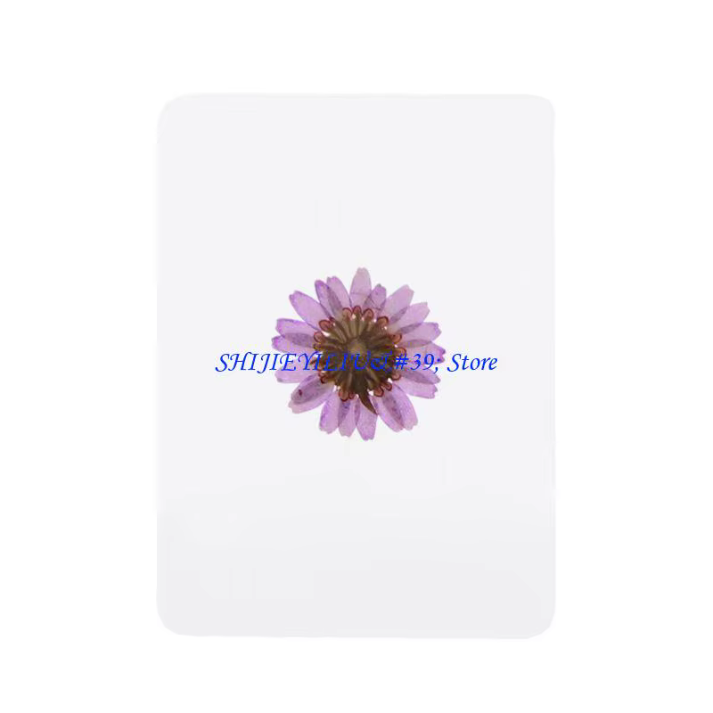 Mélange feuilles fleurs pressées E21F, remplissage d'échantillons plantes pour fabrication bijoux en