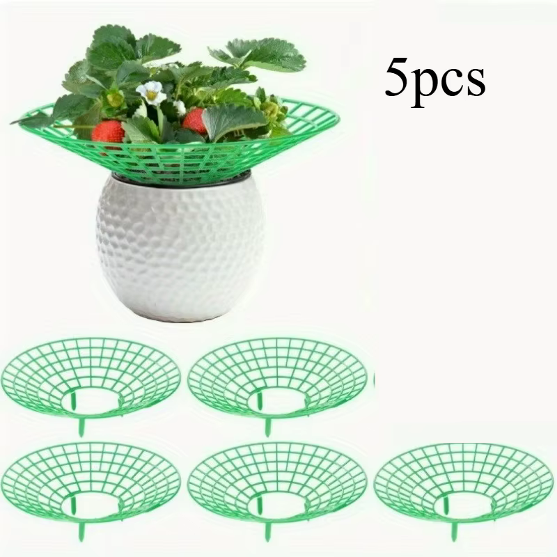 Supports pour plantes de fraises avec trois pieds robustes, offrant une protection contre les moisis