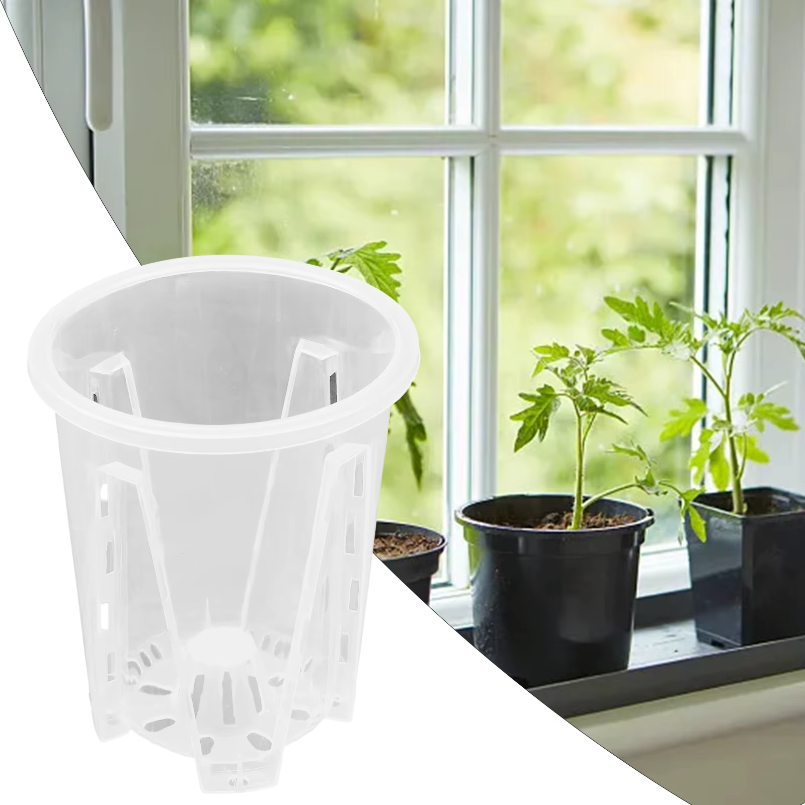 Pot de fleurs en plastique avec corps transparent et perforations de drainage pour l'entretien des o