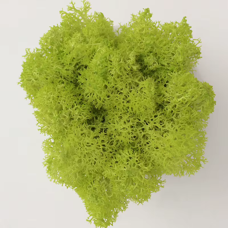 Mousse éternelle 200, 100, HI-Q g, g, gazon artificiel, plante verte, décoration pour maison, jardin