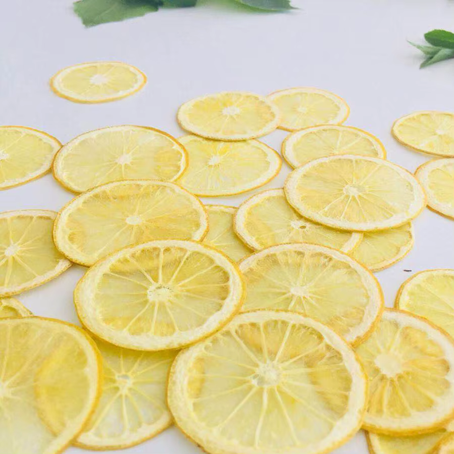 Tranches de citron jaune séchées pressées 3-5cm, 5 pièces, plante herbier pour bijoux cadre Photo ét