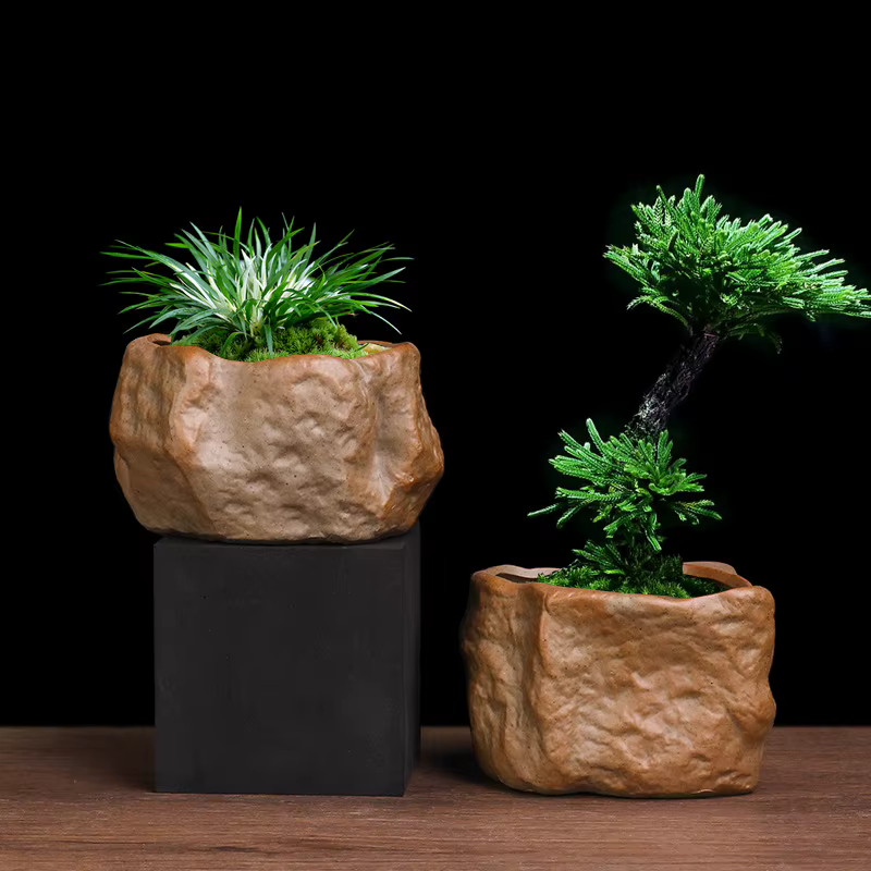Pot Succulent en céramique résistant à l'usure en forme de pierre Cactus succulent Miniature bonsaï 