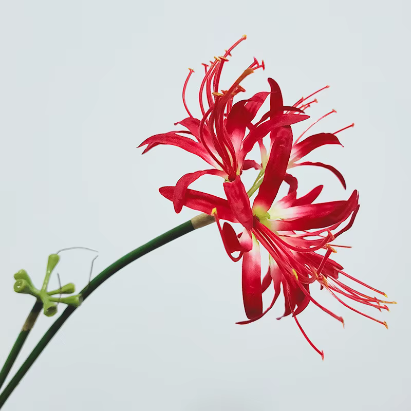 Branche de fleur de Higan en soie, fleurs artificielles, Datura Lycoris Floral, table de bricolage, 