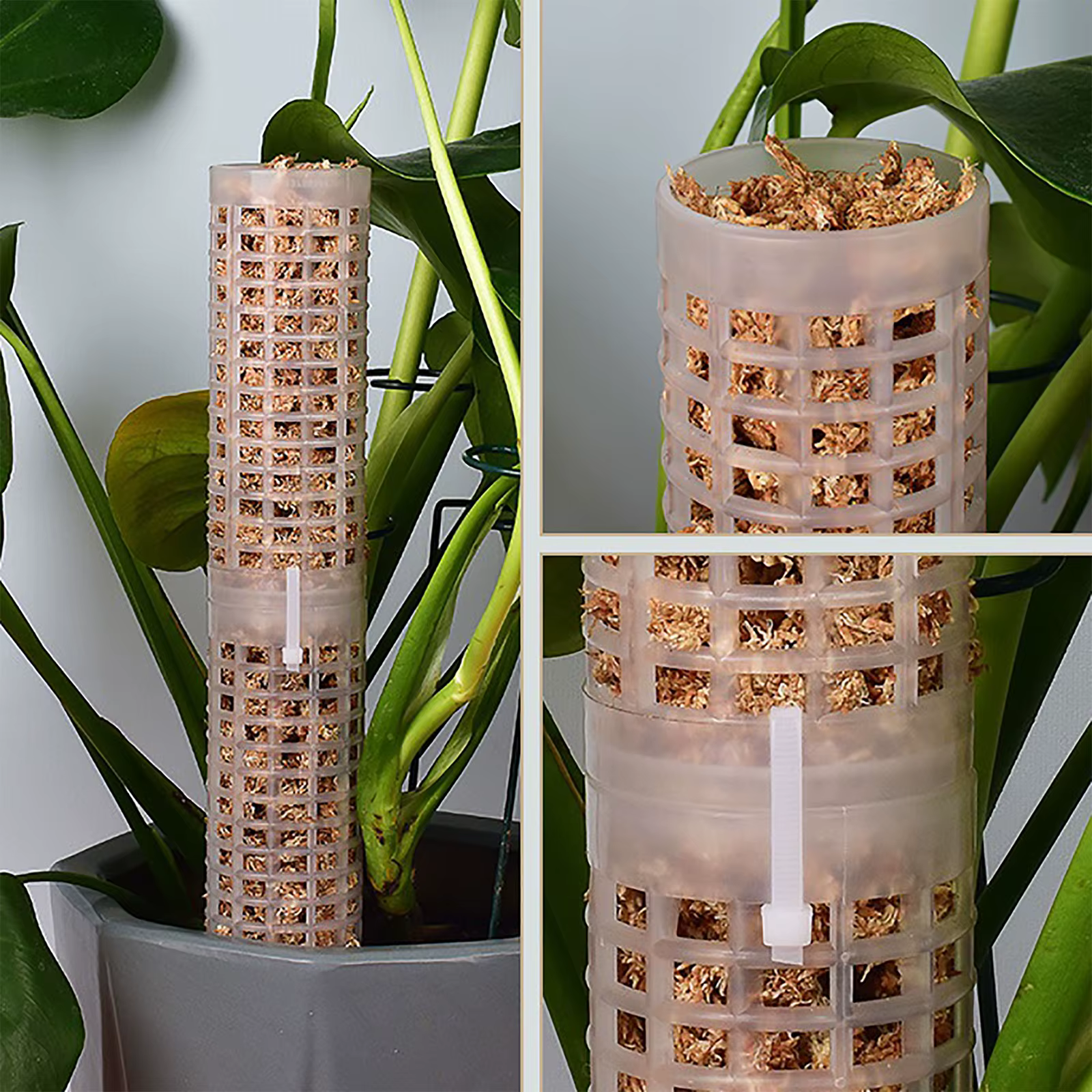 1PC plante escalade treillis empilable maille mousse pôle Monstera plastique filet stéréotypé cocoti