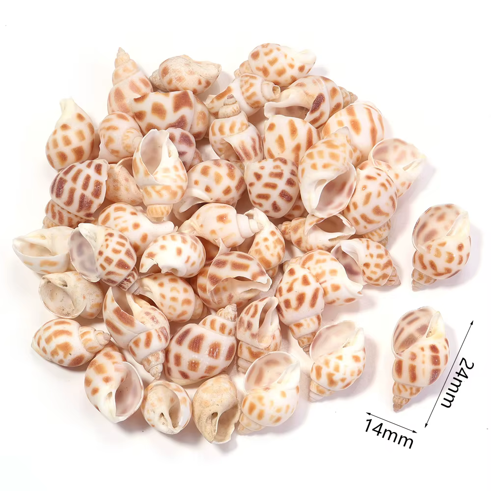 40g / lot Fleur de mer escargot Shell perles Perles d'espaceur lâches pour la fabrication de bijoux 