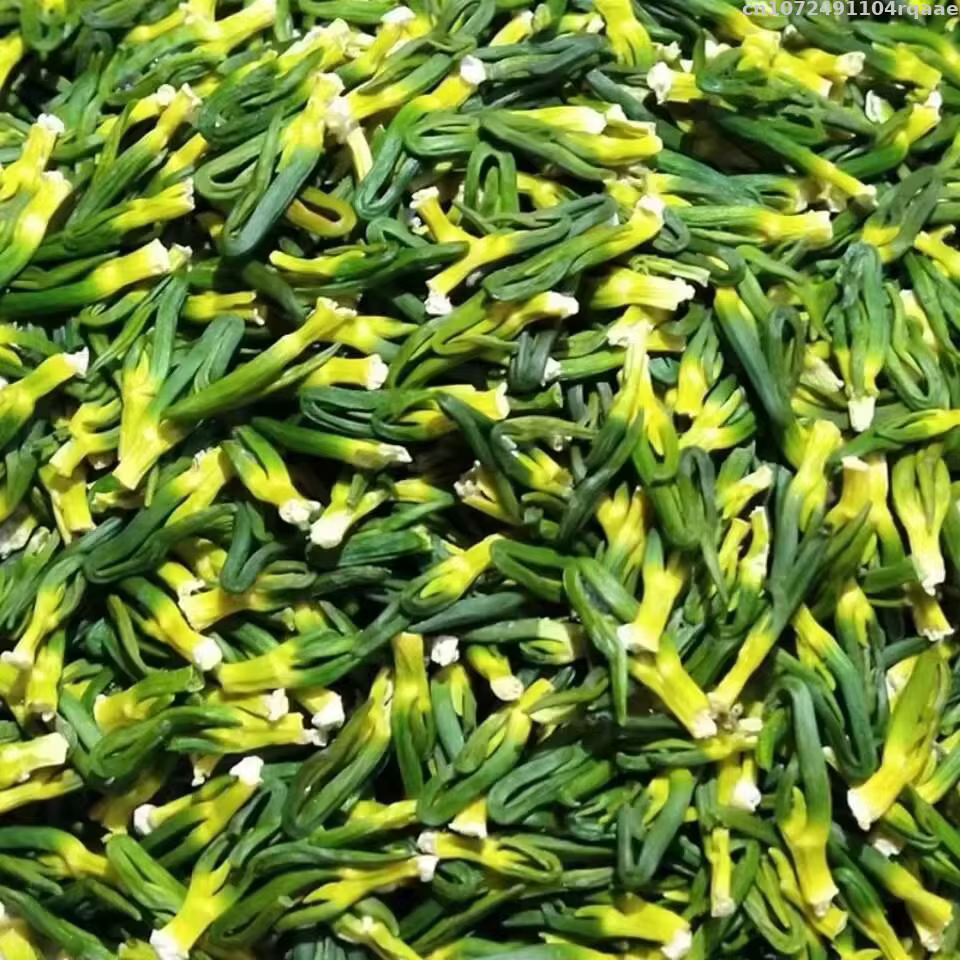 Noyau de graine de lotus 100 % naturel pour aromathérapie, remplissage de sachets et d'oreillers, ai