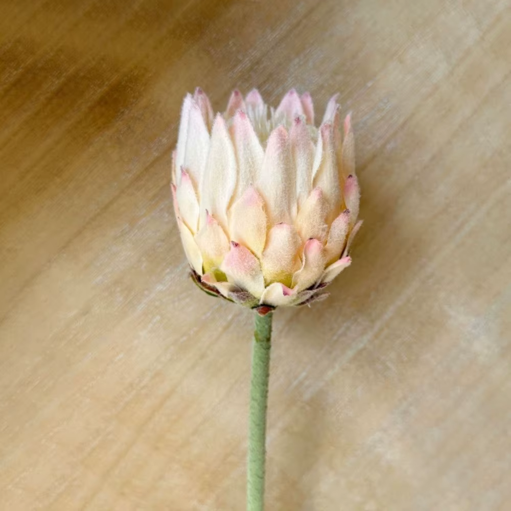 Grande fleur artificielle réaliste multicolore, artichaut artificiel floqué, fleur de protée royale 