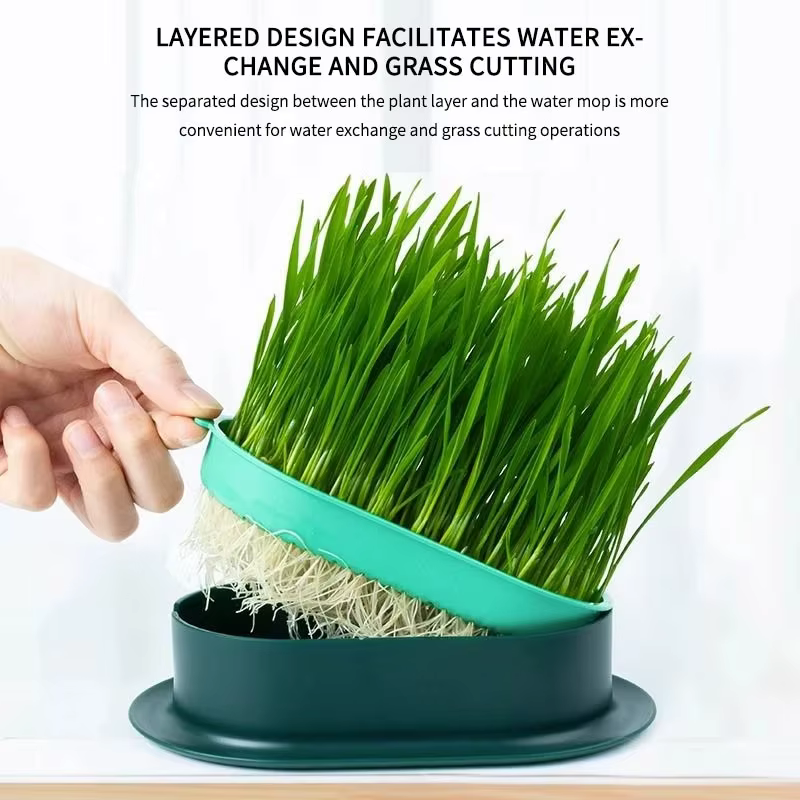 Nouveau plat de germination de chat de compagnie Pot de culture plante hydroponique chat herbe Germi