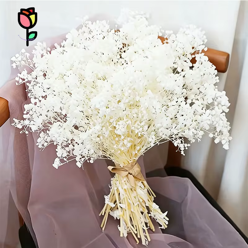 1 bouquet de fleurs séchées Gypsophile pour la décoration de mariage, de remise de diplôme, de table
