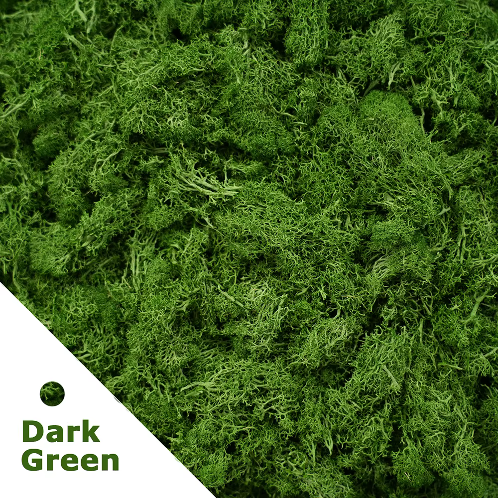 Plantes vertes artificielles Mini paysage vie éternelle mousse herbe fausse herbe bricolage artisana